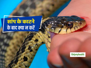 Snake Bite Prevention: सांप के काटने से हर साल 1.38 लाख लोगों की होती है मौत, जानें बचाव के तरीके